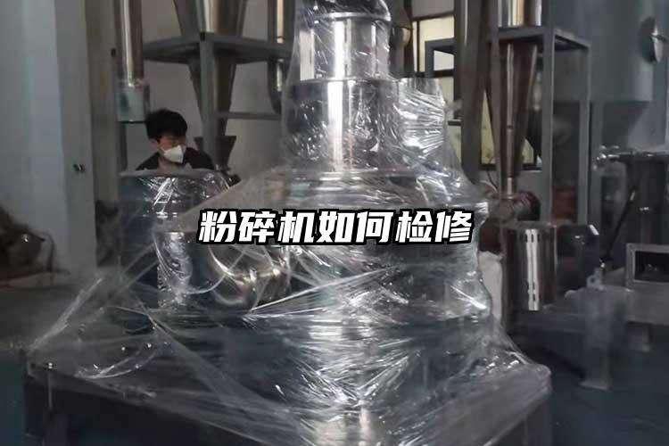 麻豆视频网站免费看如何檢修