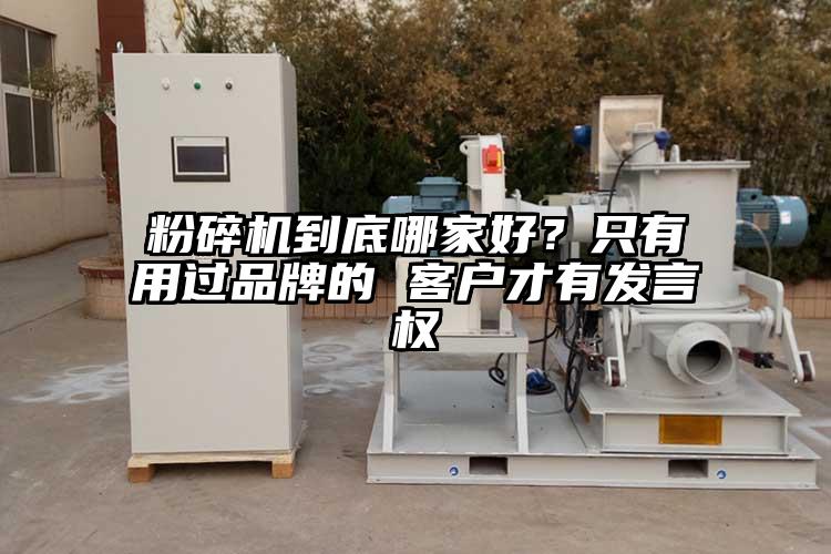 麻豆视频网站免费看到底哪家好？隻有用過品牌的 客戶才有發言權