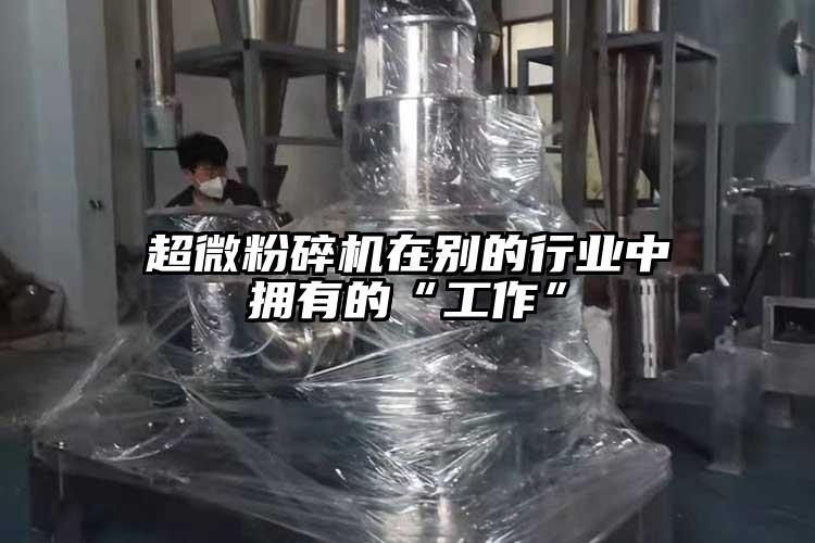 超微麻豆视频网站免费看在別的行業中擁有的“工作”