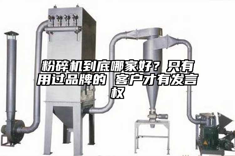 麻豆视频网站免费看到底哪家好？隻有用過品牌的 客戶才有發言權
